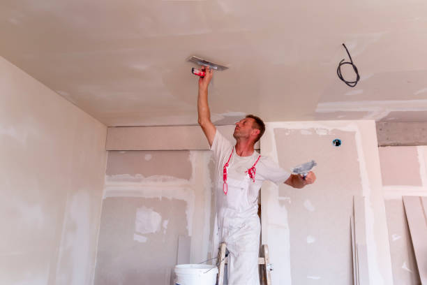 Best Drywall Sanding and Smoothing  in Singac, NJ